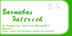 barnabas haltrich business card